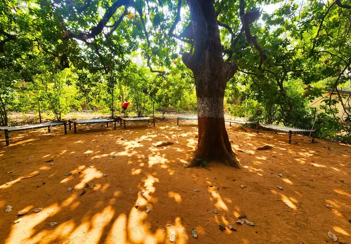 Forest Relax Zone — Bakor nature experience