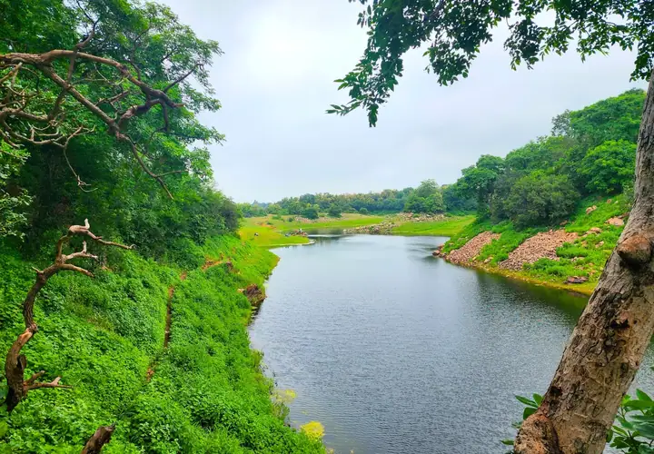 Lake Monsson View — Bakor nature experience