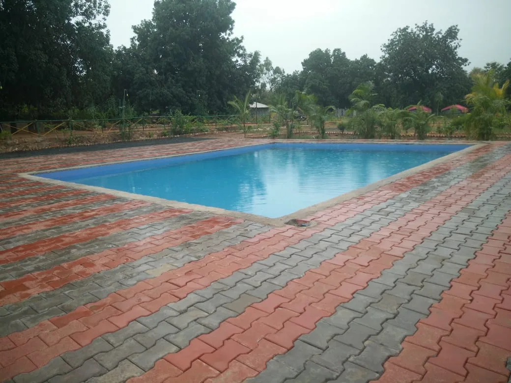 Swimming Pool Fun
