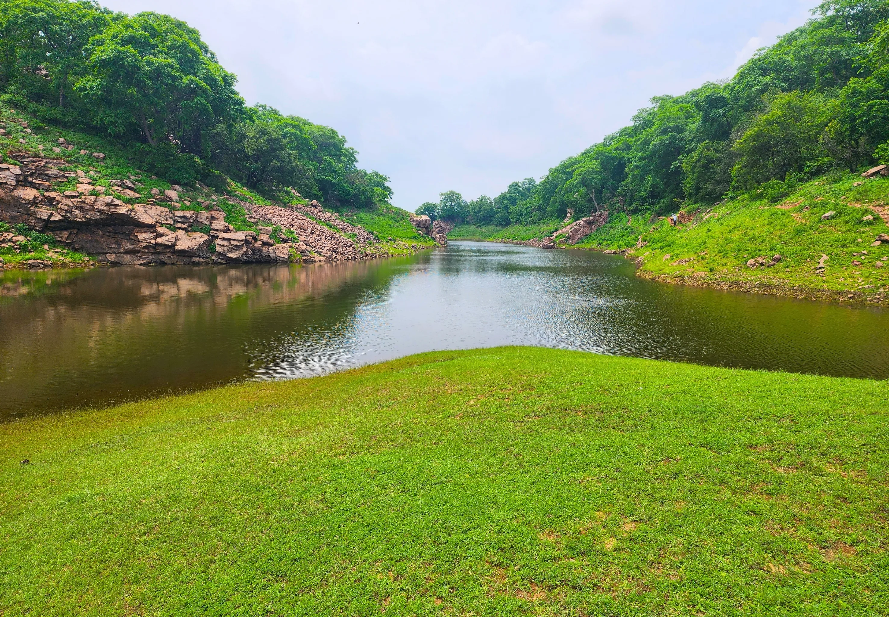 Into the Green Wilderness